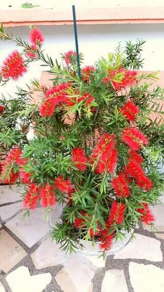 Апартаменты Apartments Okuka Тиват Апартаменты-студио с балконом и видом на море-15