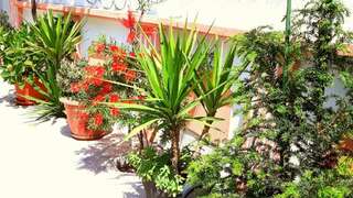 Апартаменты Apartments Okuka Тиват Апартаменты-студио с балконом и видом на море-16