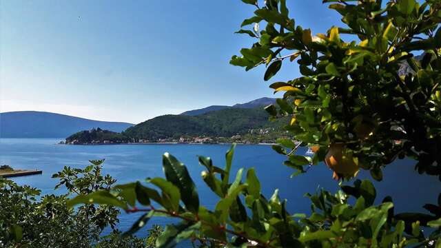 Апартаменты Apartments Okuka Тиват-11